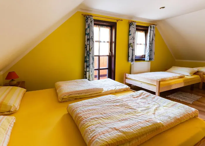 Daire Drevenica U Petra Terchová